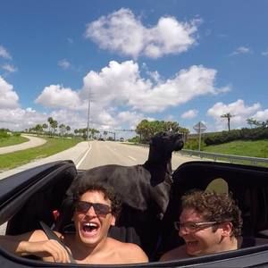 Meet your Posher, Enrique